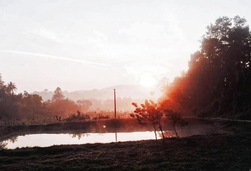 渡假胜地  Turtle Pond Home Stay