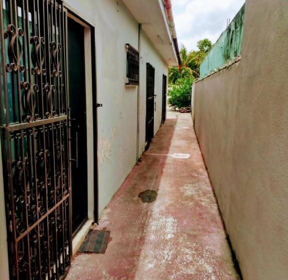 بنسيون Casa Ixchel   450m To Downtown, Wifi, Hot Water, Ac