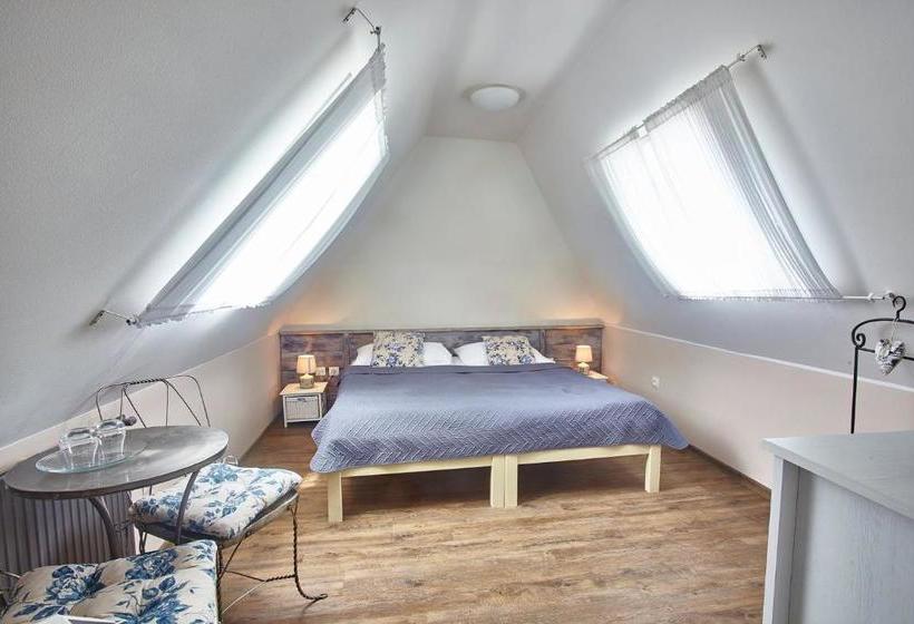 هتل Penzion Kostnický Dům