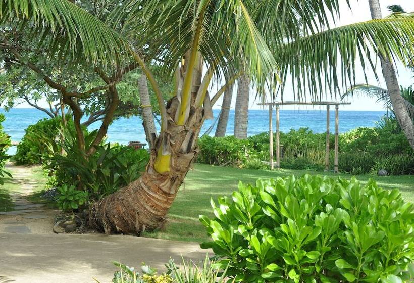 Tiki Moon Villas