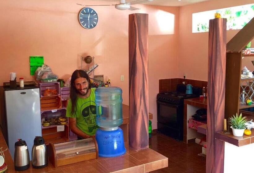 هاستل Yaxche Centro Hostal Y Camping