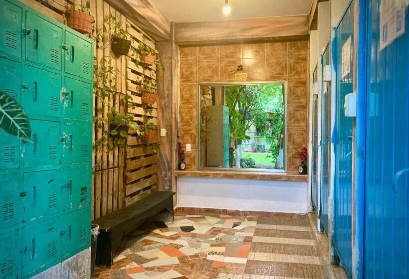 هاستل Yaxche Centro Hostal Y Camping