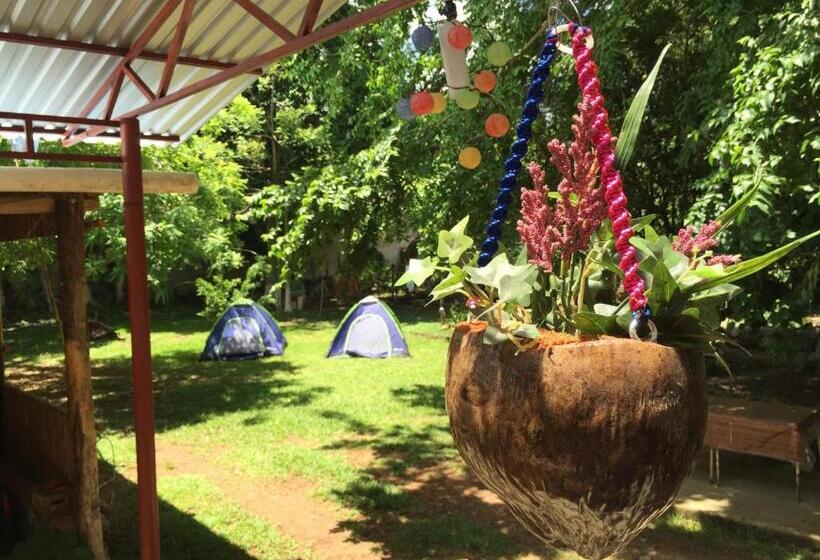 هاستل Yaxche Centro Hostal Y Camping
