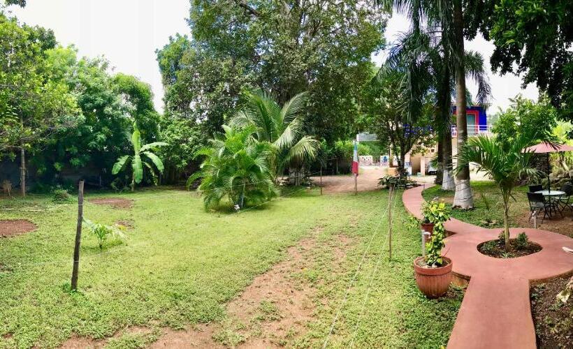 هاستل Yaxche Centro Hostal Y Camping