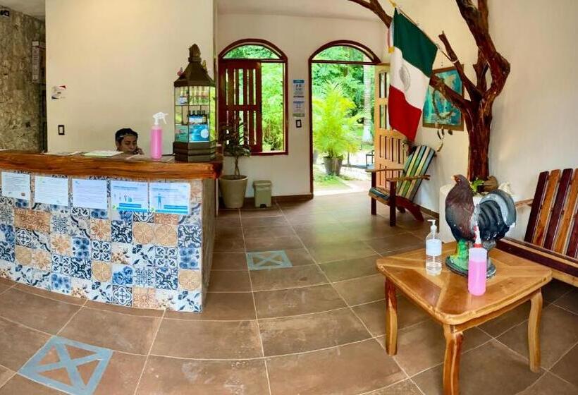 هاستل Yaxche Centro Hostal Y Camping