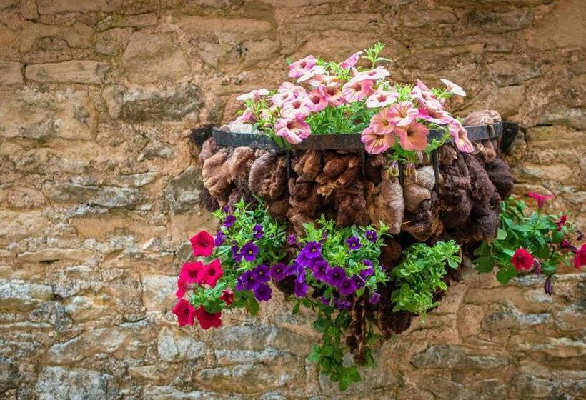 Bed and Breakfast High Paradise Farm