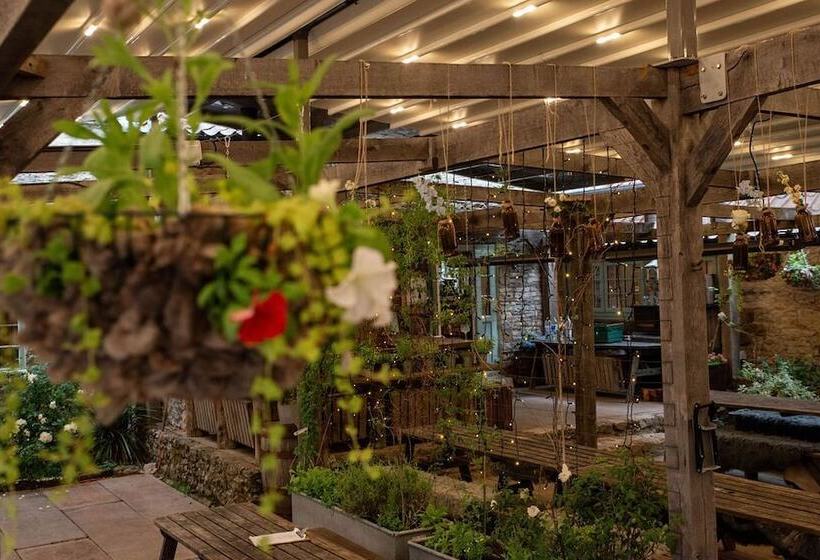 Bed and Breakfast High Paradise Farm