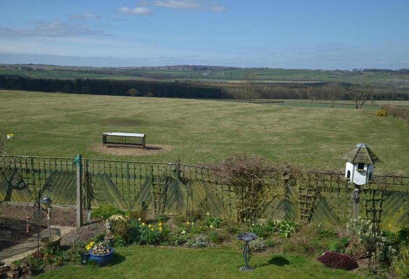 Dene View Bed & Breakfast