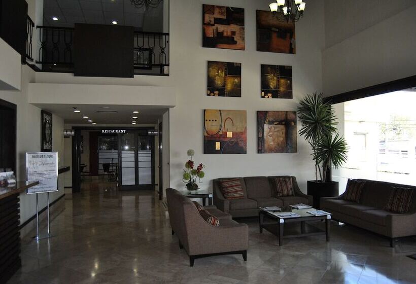 فندق Alameda Express