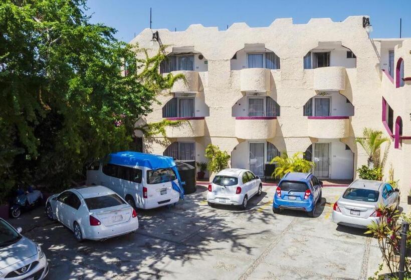 Capital O Hotel Dos Mares, Cabo San Lucas