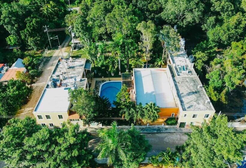 فندق Los Cedros Uayamon