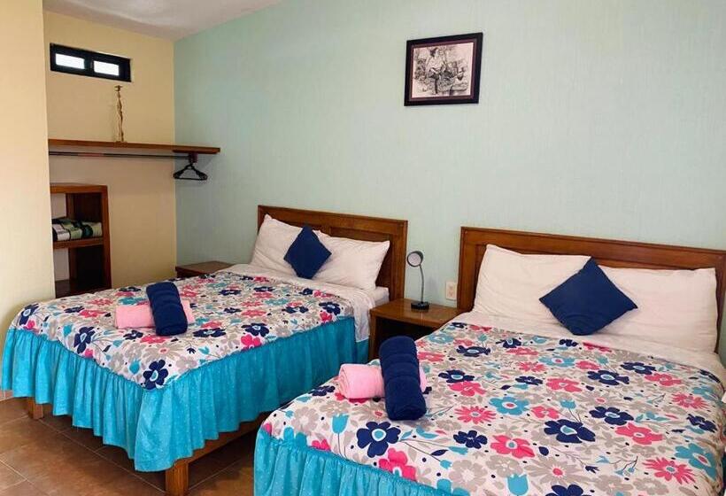 فندق Tres Flores