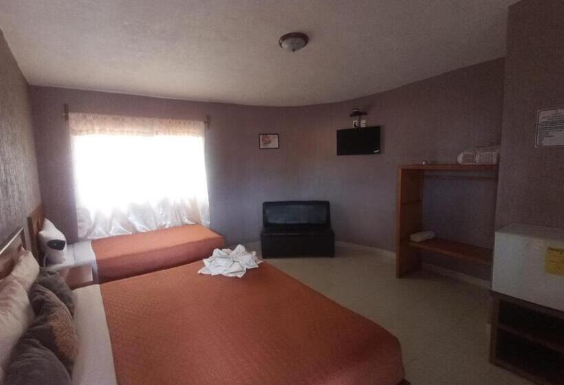 فندق Tres Flores