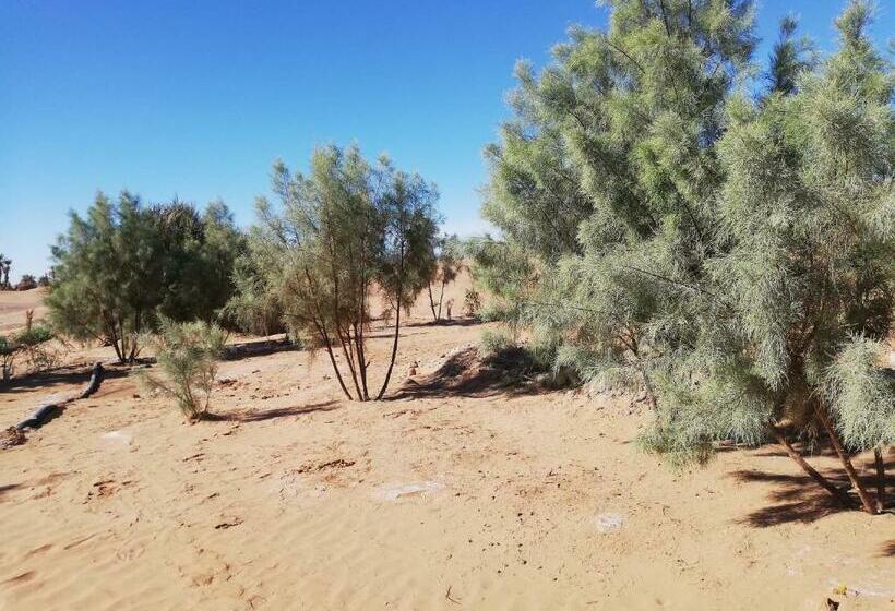 تختخواب و صبحانه Camp Sahara