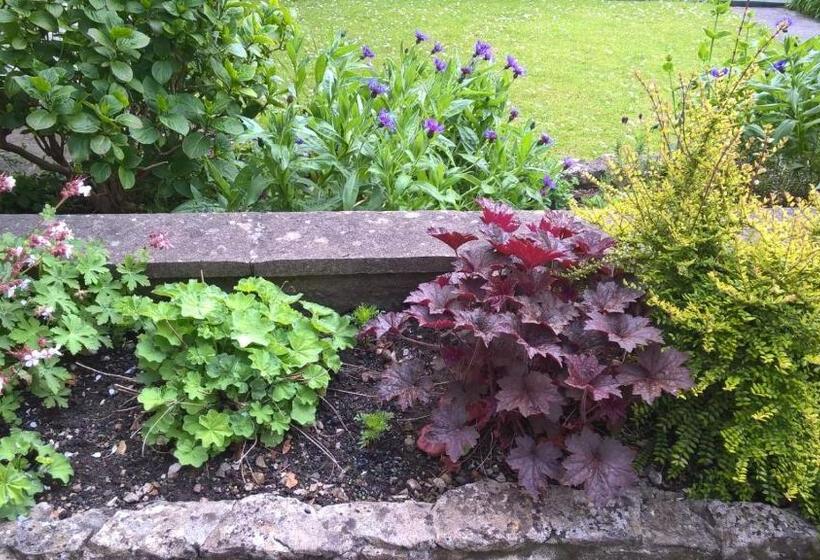 مبيت وإفطار Longbridge House