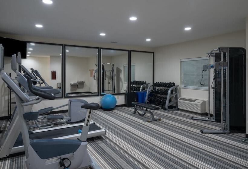 호텔 Candlewood Suites Auburn, An Ihg