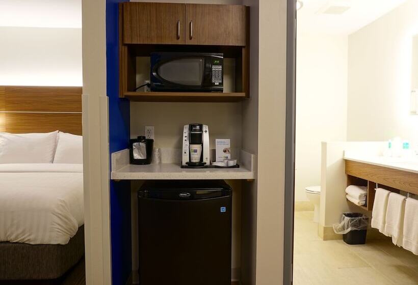 酒店 Holiday Inn Express & Suites Omaha   Millard Area, An Ihg