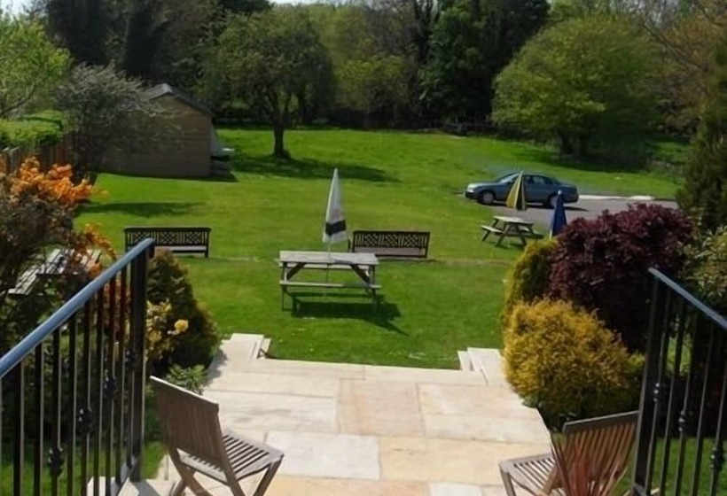 Отель Old Oak Tree