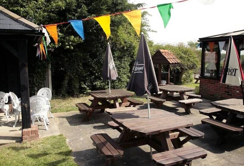 هتل The Kicking Dickey