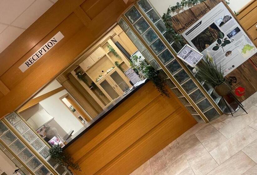 בית מלון כפרי The Hedges