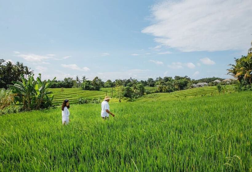 리조트 Nyanyi Sanctuary Villa By Ini Vie Hospitality