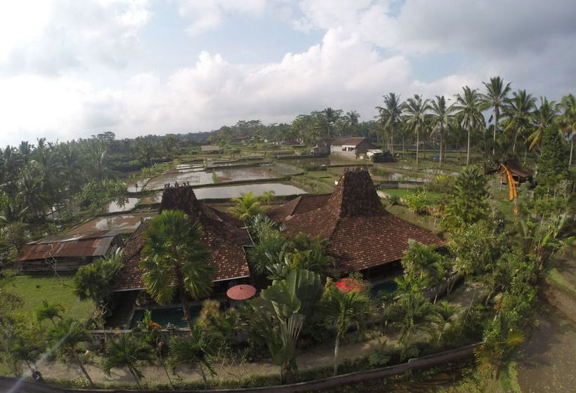 리조트 Ubud Syailendra Villas