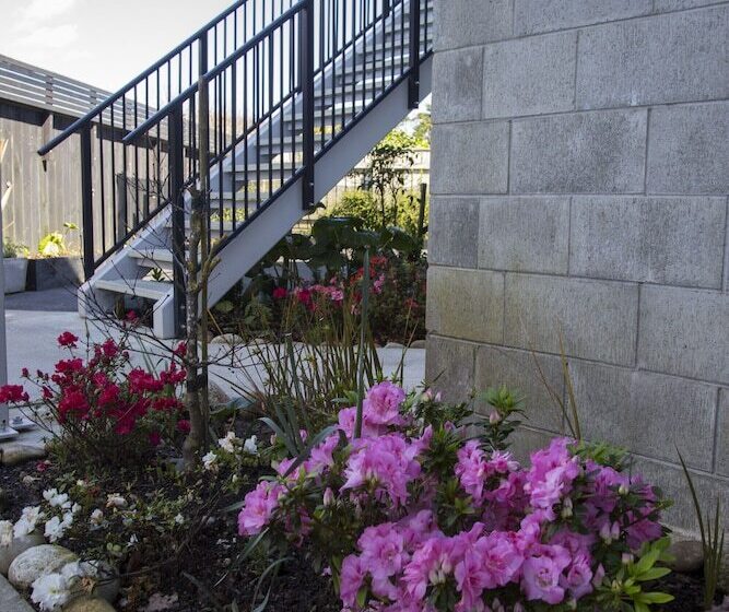 モーテル Carters By The Sea Beachside Studio Apartments