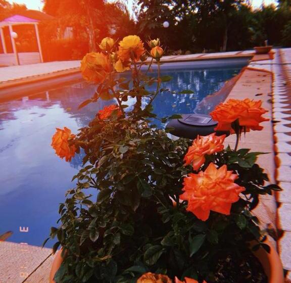 تختخواب و صبحانه Villa Conti