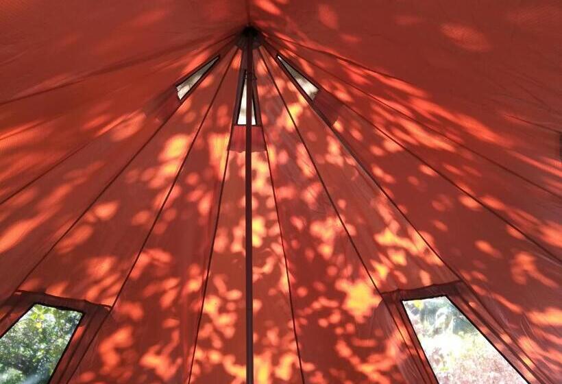 ペンション Cashew Nut Bungalow, Ko Mook
