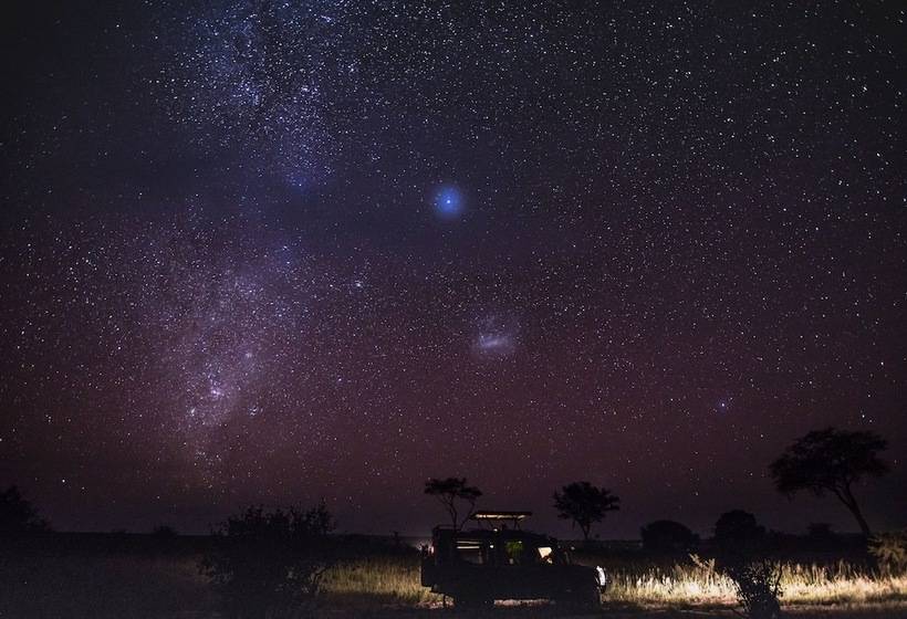 ホテル Elewana Tarangire Treetops