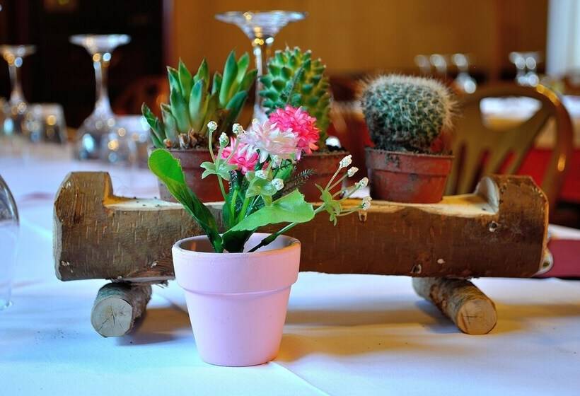 簡易ホテル Albergo Ristorante Morandi