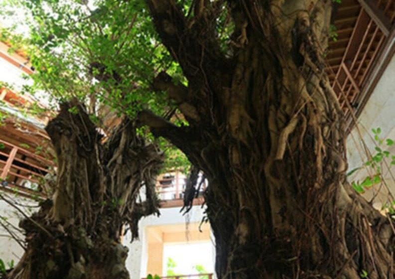 ホテル Hyakunagaran