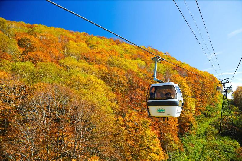 فندق Resort Inn Marion Shinano