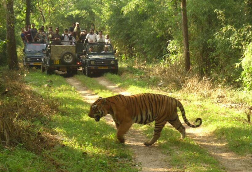ホテル Windsor Tiger Resort