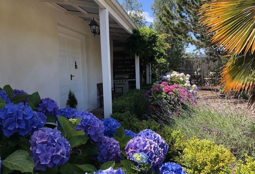 پانسیون Woodstock Suite