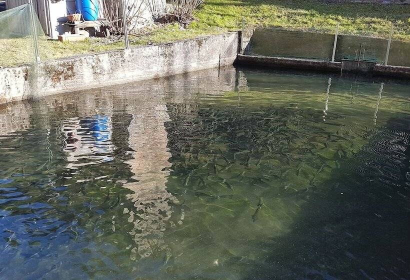 فندق ريفى Agriturismo La Vecchia Chioderia