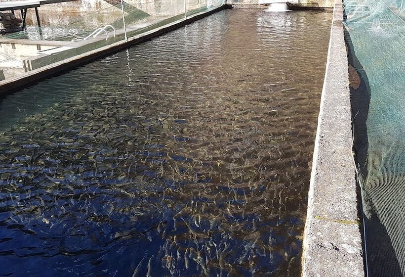 فندق ريفى Agriturismo La Vecchia Chioderia