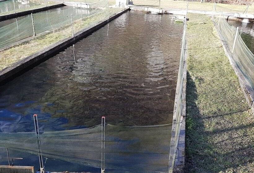 فندق ريفى Agriturismo La Vecchia Chioderia