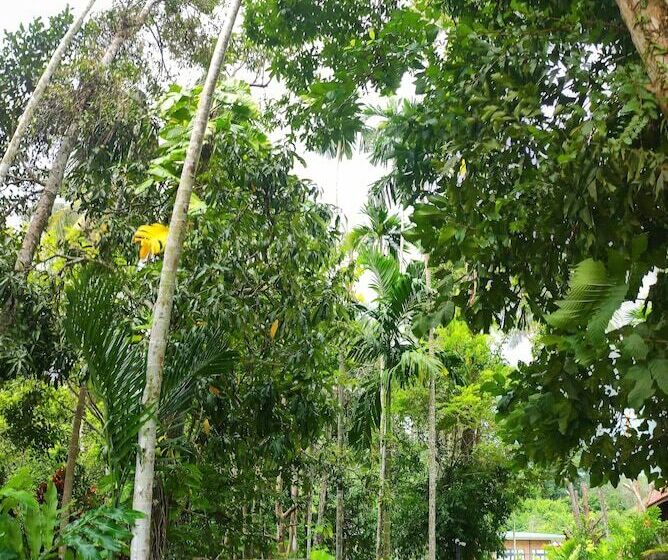 هتل S Ekar Pinang Langkawi