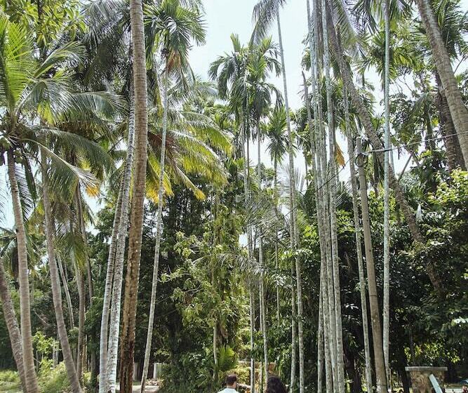 هتل S Ekar Pinang Langkawi