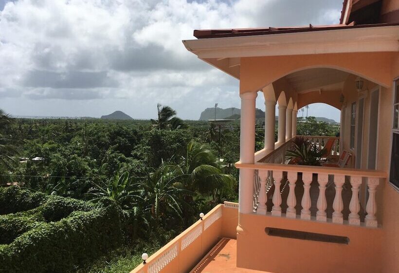 پانسیون Aupic Paradise