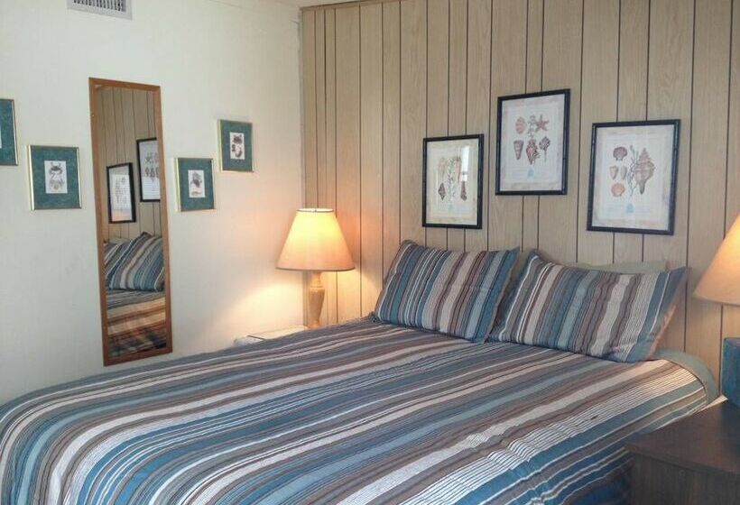 Sun N Fun Beachfront Vacation Rentals