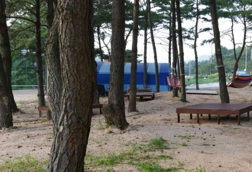 בית מלון כפרי Sangju Yeoyurounhwangtojib Pensyeon