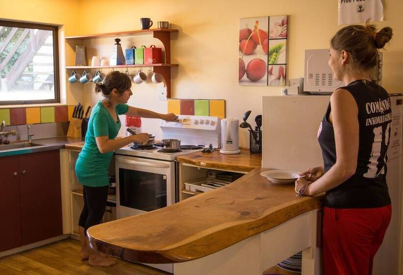 Paradiso Backpacker Hostel