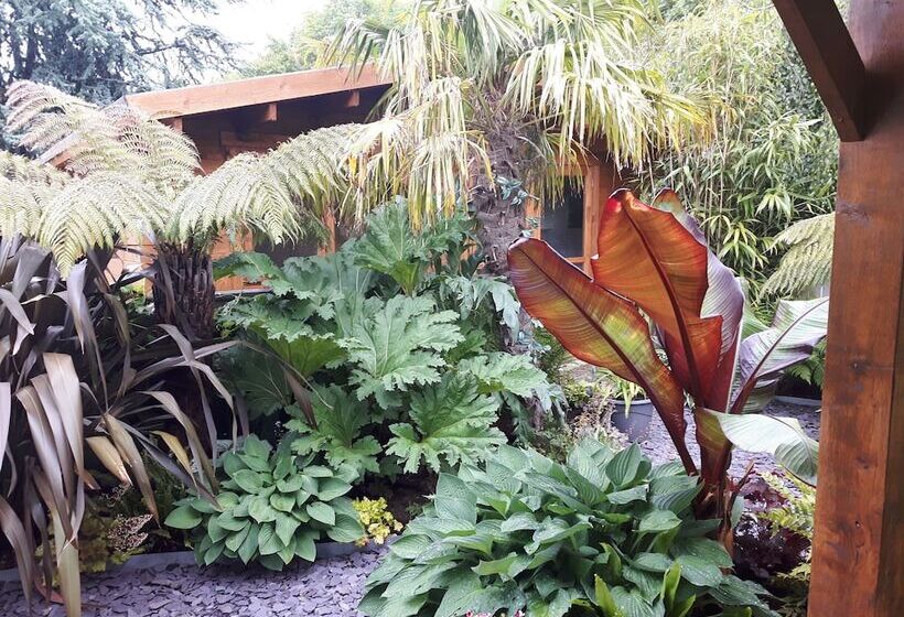 Cabin Set In A Beautiful Romantic Tropical Garden