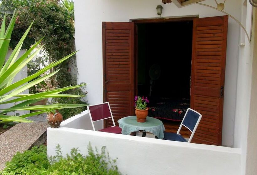 Camelia Studios