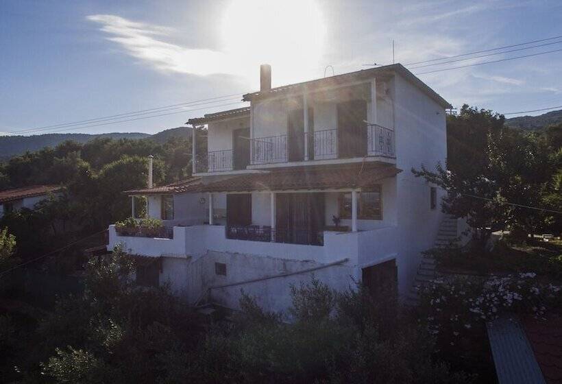 Camelia Studios