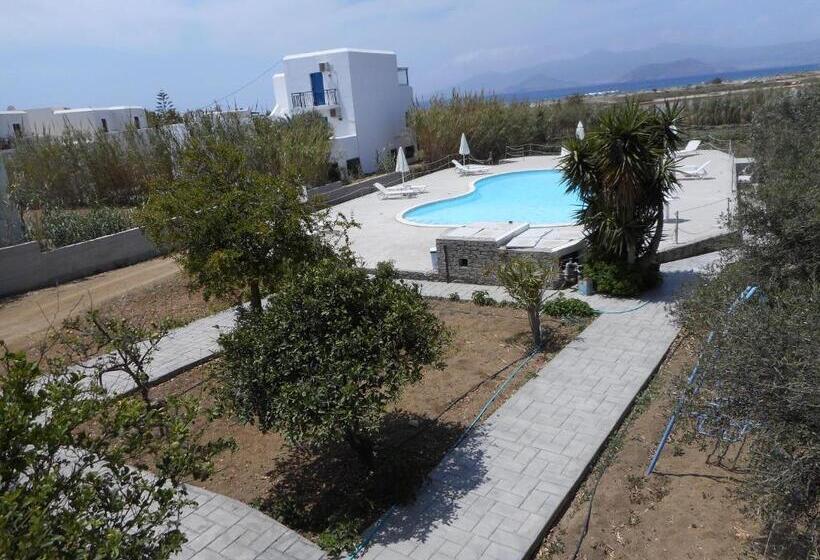 فندق Nikoletta Studios