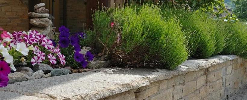 호텔 Chalet Seggiovia