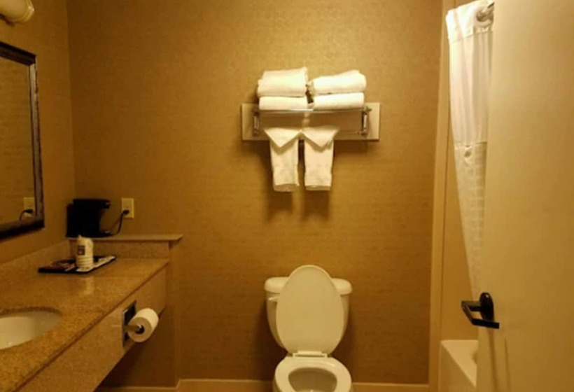 هتل Comfort Inn Warner Robins   Robins Air Force Base Area